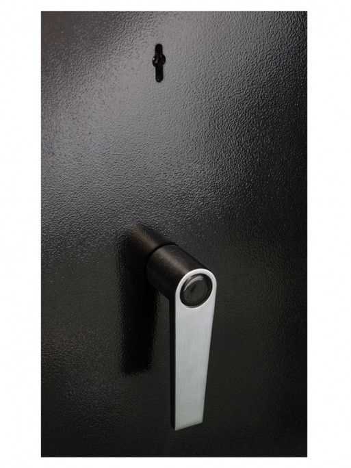 Armoire forte Forge 10 armes Browning
