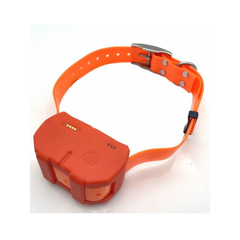Collier GPS Dogze 4G Huntpower