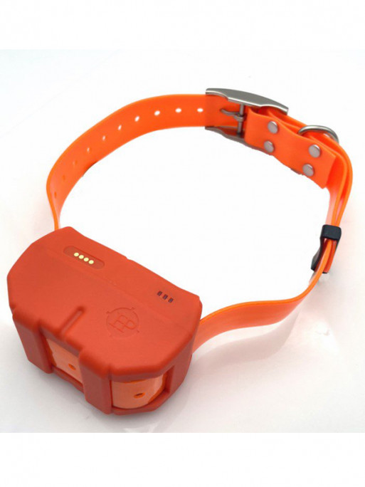 Collier GPS Dogze 4G Huntpower
