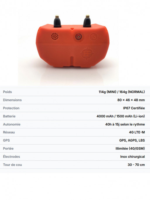 Collier GPS Dogze 4G Huntpower