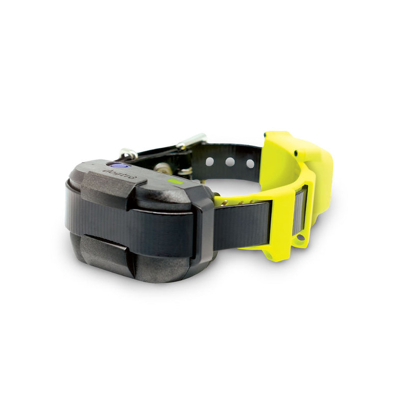 Collier GPS anti-fugue Fence Dogtra