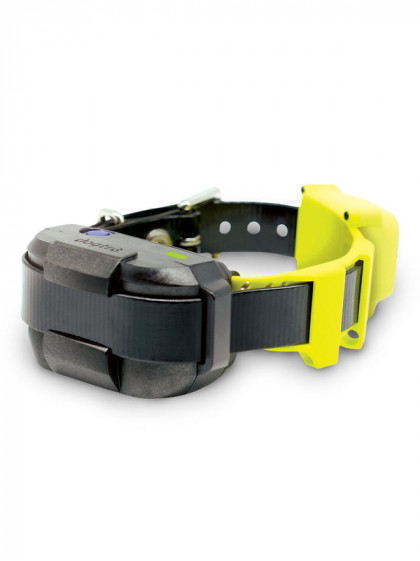 Collier GPS anti-fugue Fence Dogtra