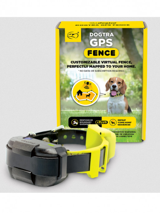 Collier GPS anti-fugue Fence Dogtra
