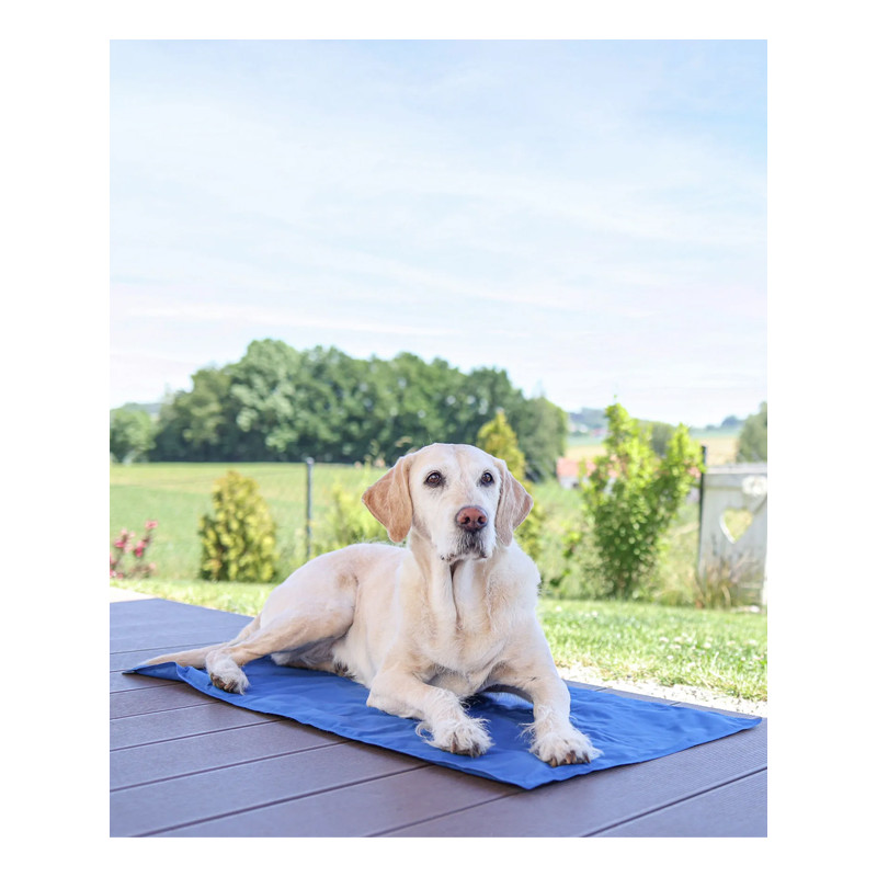 Tapis rafraîchissant Cool-Relax Kerbl