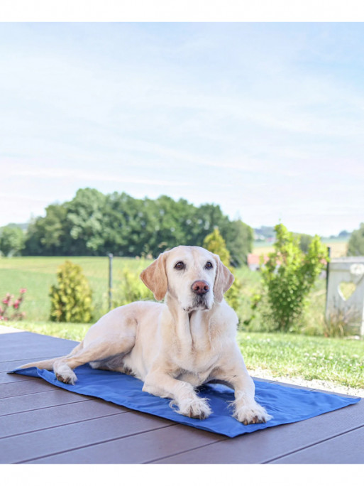 Tapis rafraîchissant Cool-Relax Kerbl