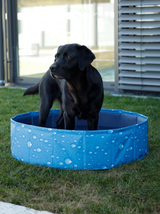 Piscine pour chien Bubble Kerbl