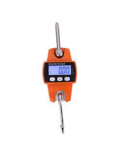 Peson électronique Crane Scale