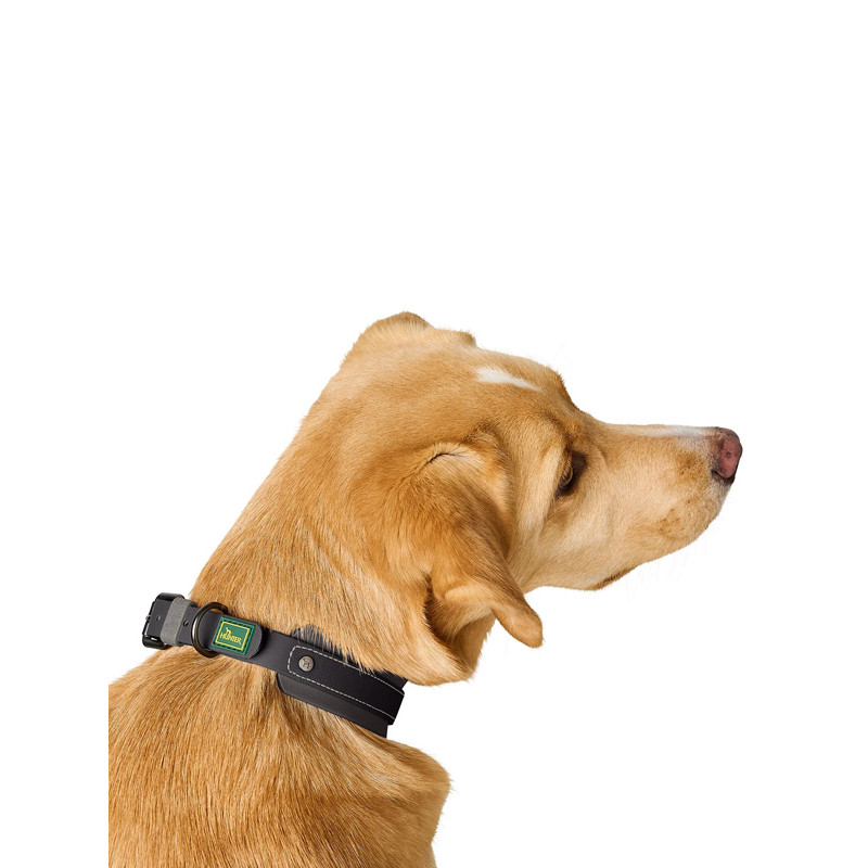 Collier Havanna Hunter