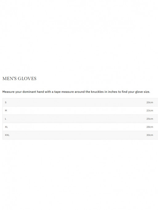 Gants en cuir Alan Paine