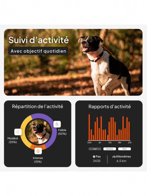 Traceur Mini GPS XS chien Weenect