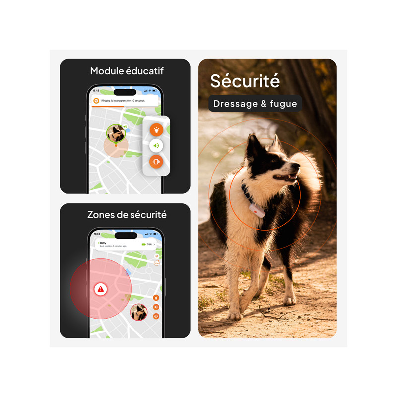 Traceur Mini GPS XS chien Weenect