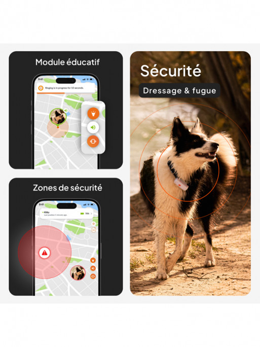 Traceur Mini GPS XS chien Weenect