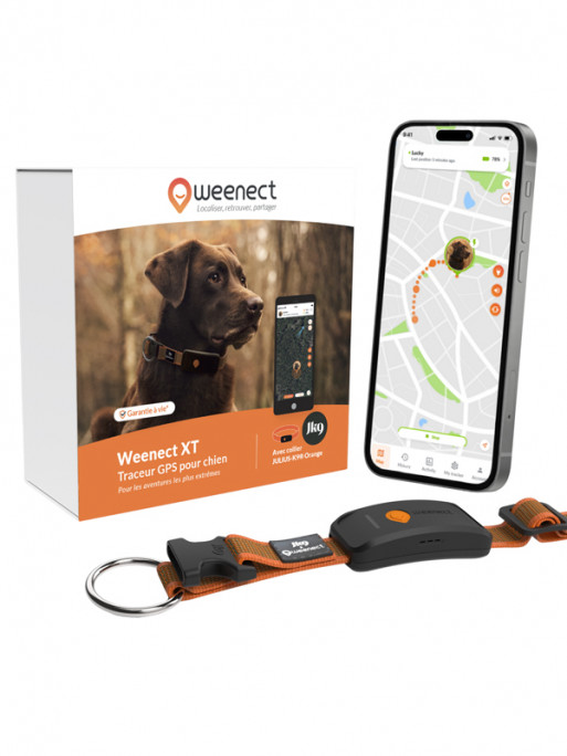 Collier avec traceur GPS XT chien Weenect