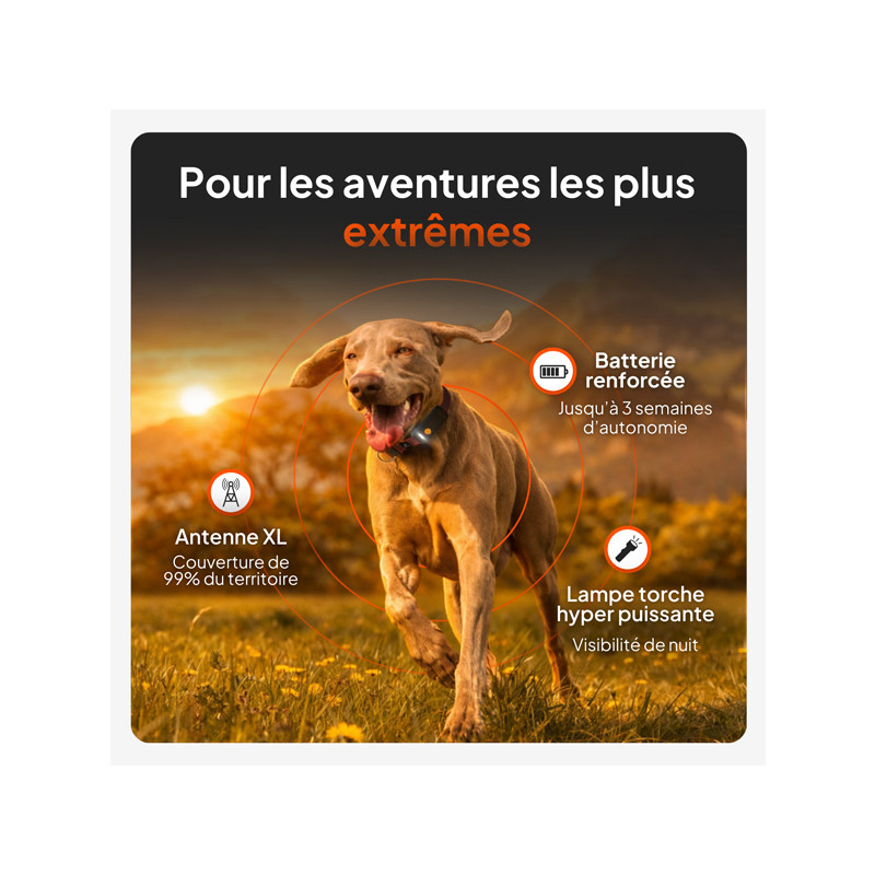 Collier avec traceur GPS XT chien Weenect