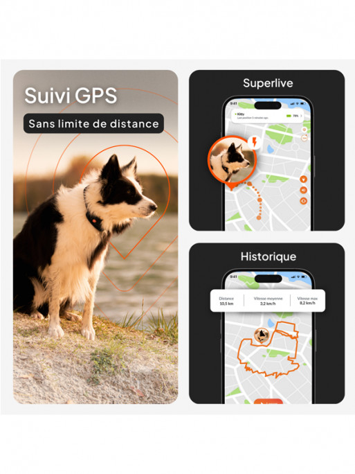Collier avec traceur GPS XT chien Weenect
