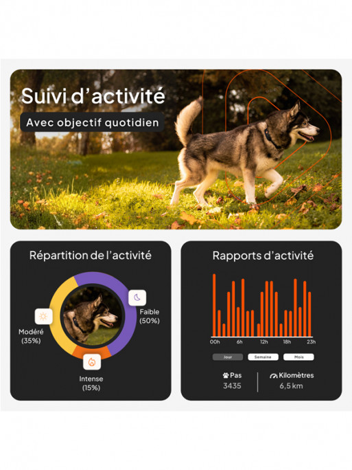 Collier avec traceur GPS XT chien Weenect