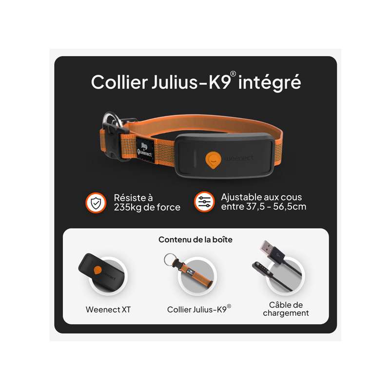 Collier avec traceur GPS XT chien Weenect