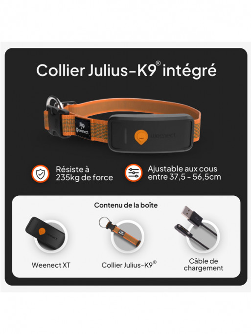 Collier avec traceur GPS XT chien Weenect