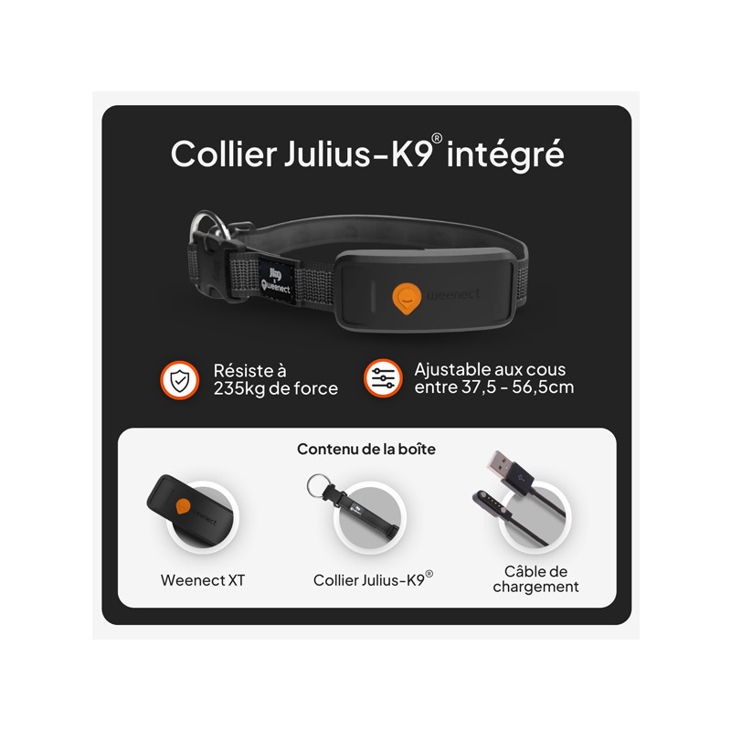 Collier avec traceur GPS XT chien Weenect