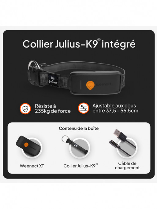 Collier avec traceur GPS XT chien Weenect