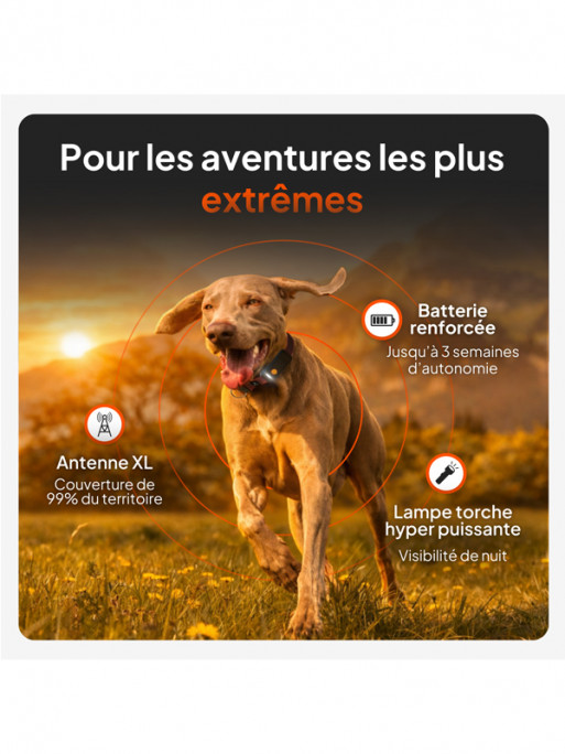 Collier avec traceur GPS XT chien Weenect