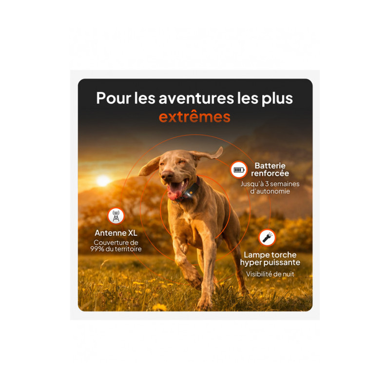 Traceur GPS XT chien Weenect