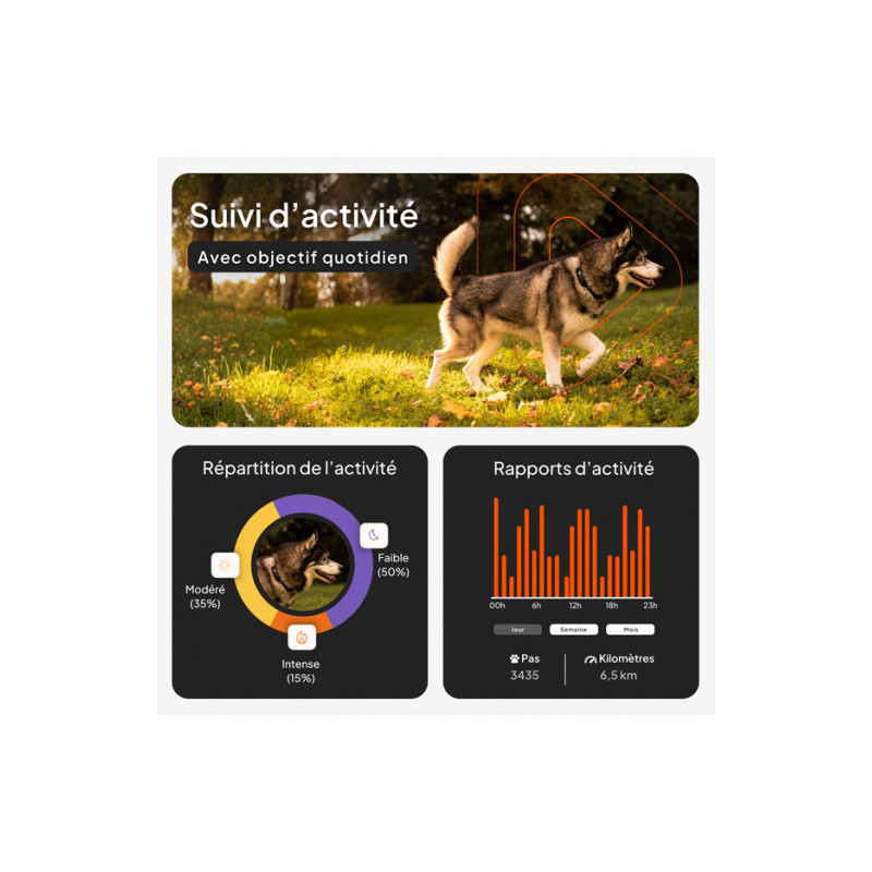 Traceur GPS XT chien Weenect
