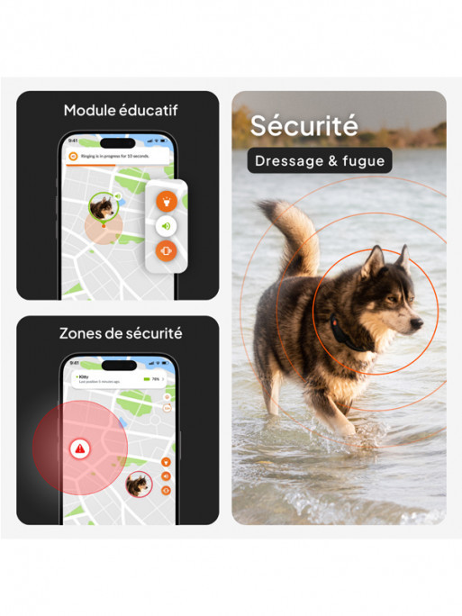 Traceur GPS XT chien Weenect