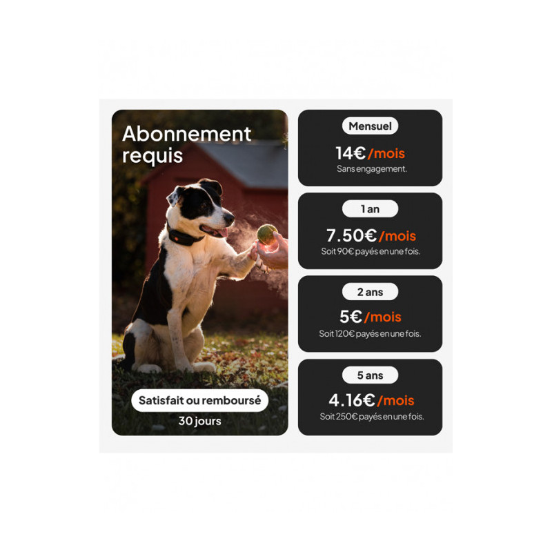 Traceur GPS XT chien Weenect