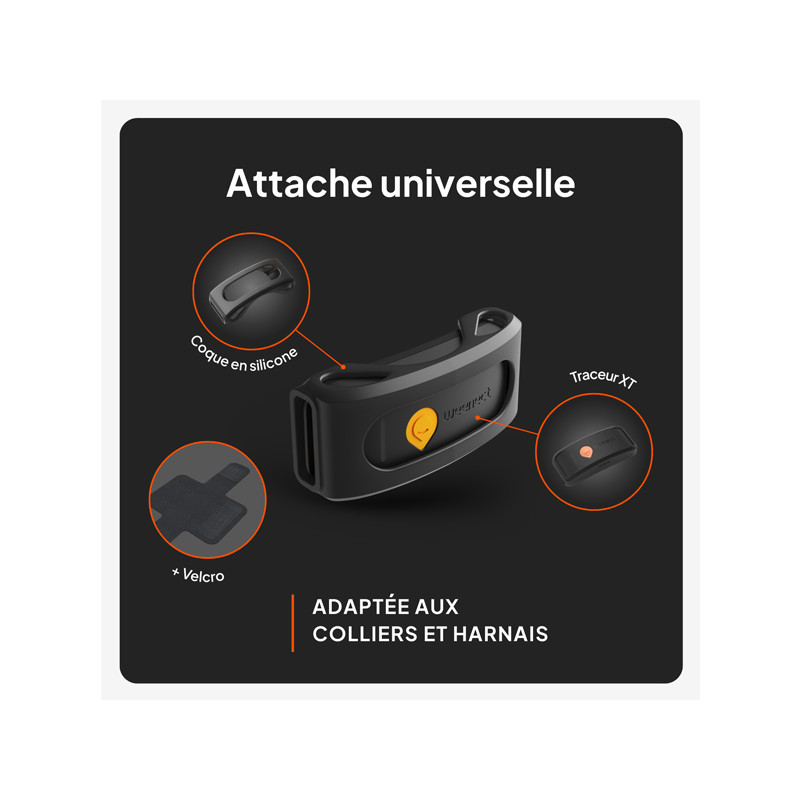 Traceur GPS XT chien Weenect