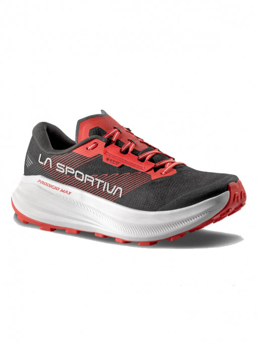 Chaussures Prodigio Max GTX La Sportiva