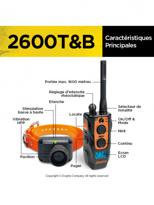 Collier de dressage 2600 T&B Dogtra