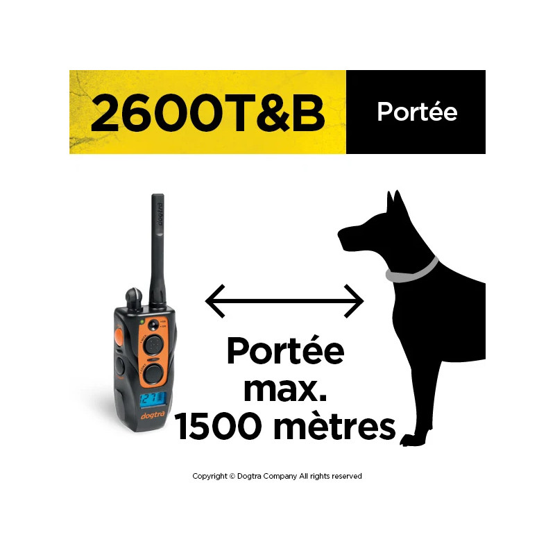 Collier de dressage 2600 T&B Dogtra