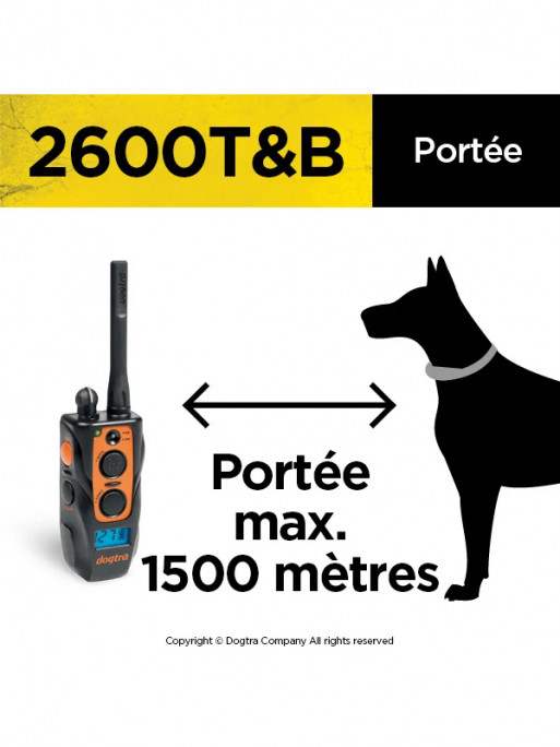 Collier de dressage 2600 T&B Dogtra