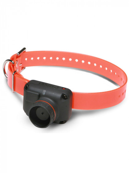 Collier Supplémentaire Dogtra RB1000 / RB 1002