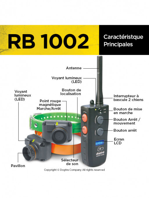 Pack de repérage RB 1002 Dogtra