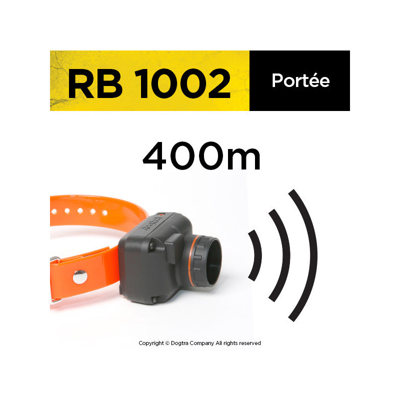 Pack de repérage RB 1002 Dogtra