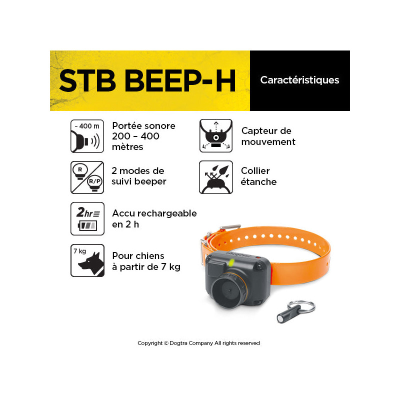 Dogtra StB - Beep H
