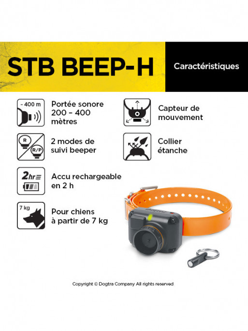Dogtra StB - Beep H