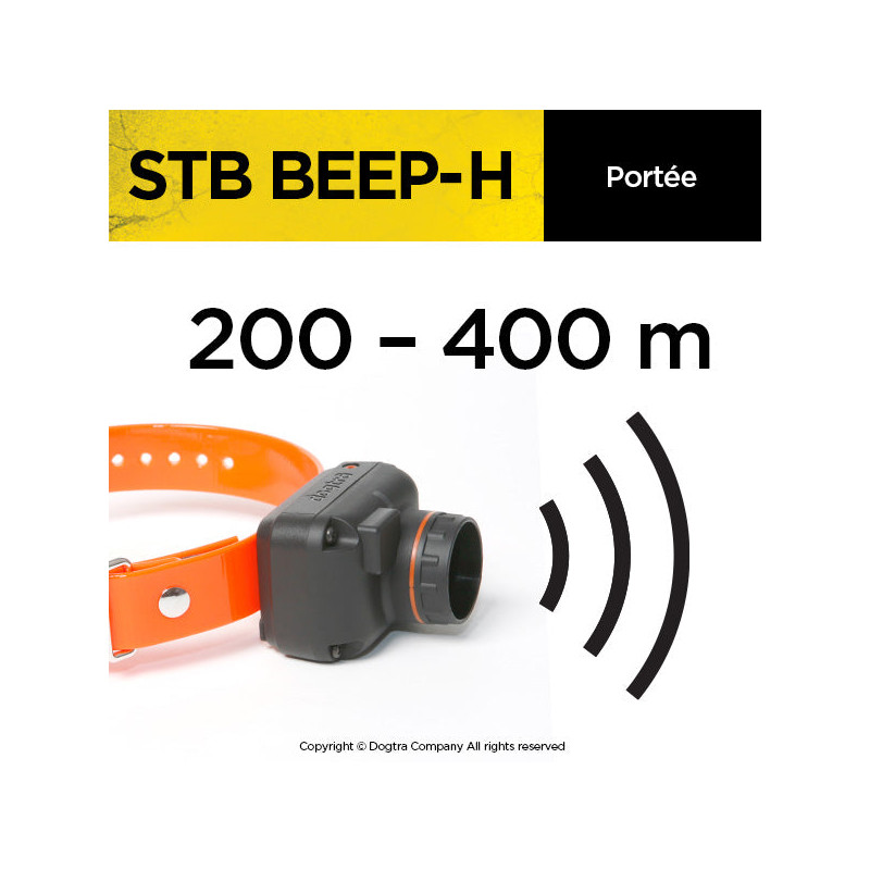 Dogtra StB - Beep H
