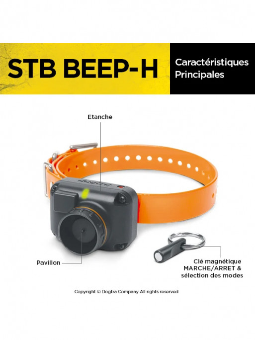 Dogtra StB - Beep H