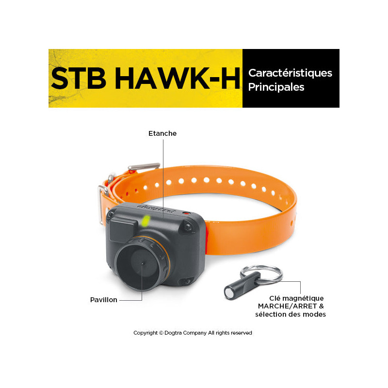 Collier de repérage StB Hawk - H Dogtra