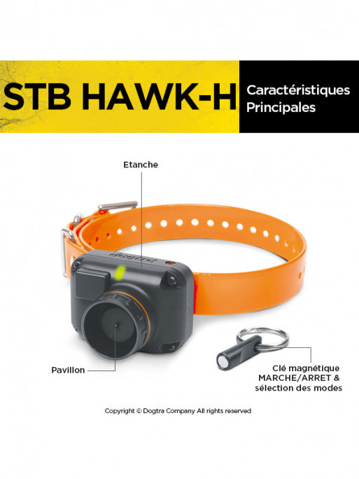 Collier de repérage StB Hawk - H Dogtra