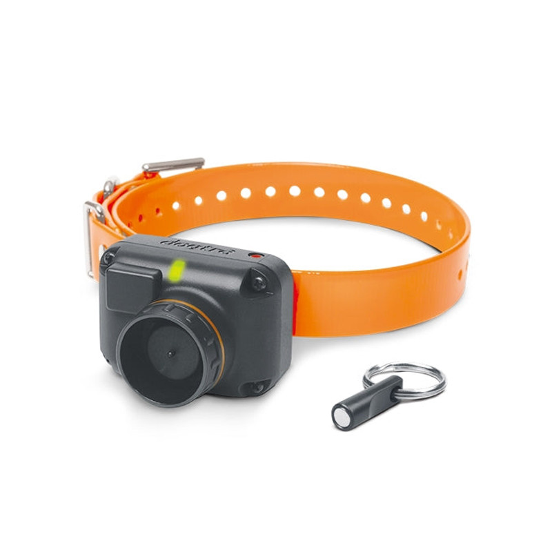 Collier de repérage StB Hawk - L Dogtra