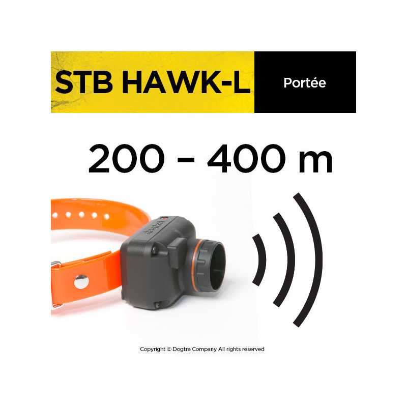 Collier de repérage StB Hawk - L Dogtra