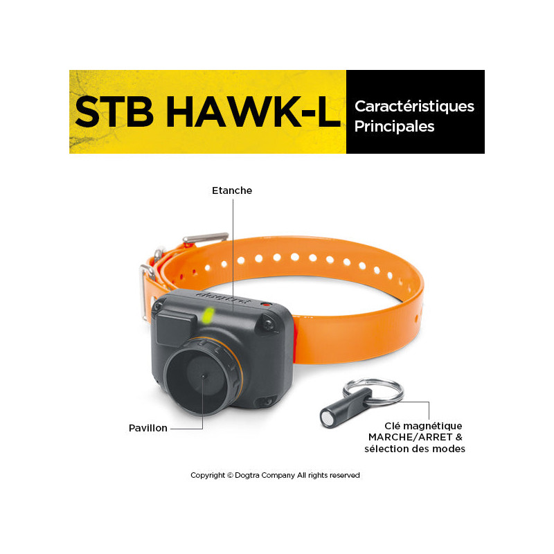 Collier de repérage StB Hawk - L Dogtra