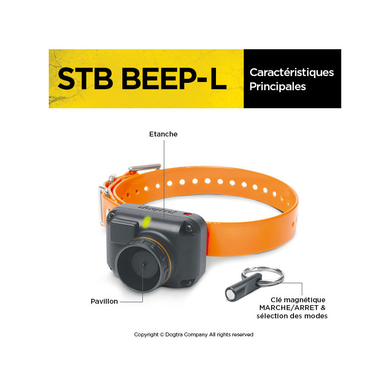 Collier de repérage StB Beep - L Dogtra