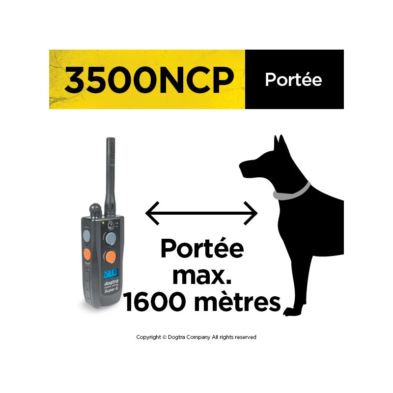 Pack de dressage  3500 NCP Dogtra