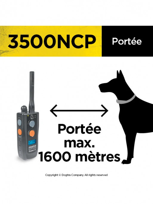 Pack de dressage  3500 NCP Dogtra