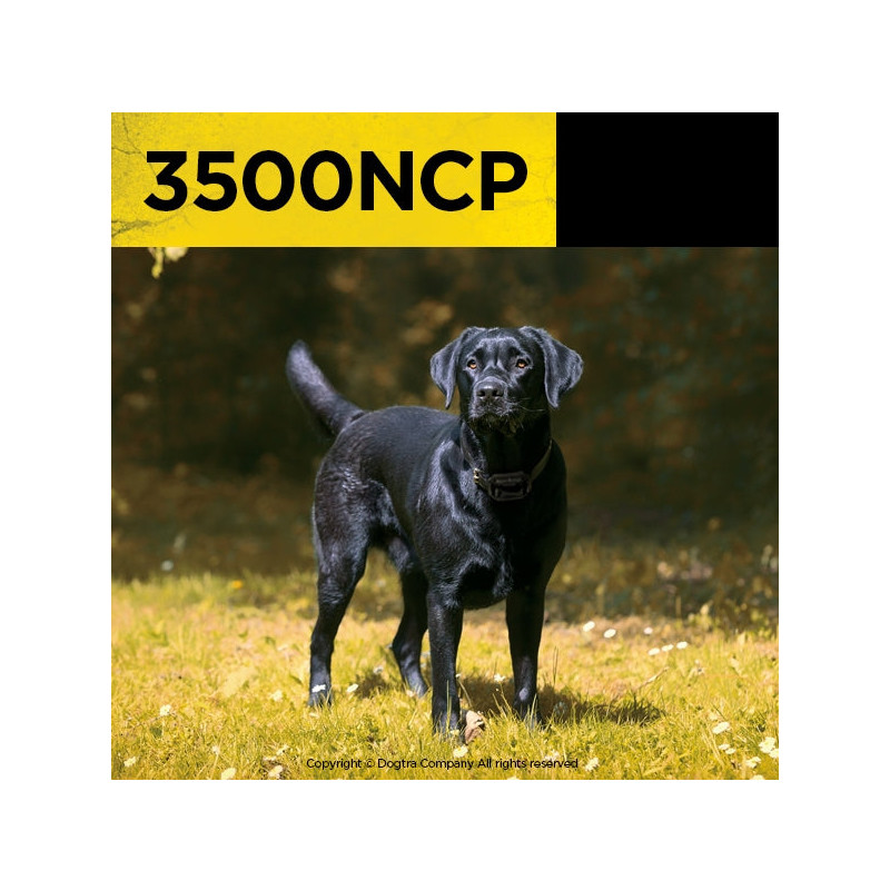 Pack de dressage  3500 NCP Dogtra
